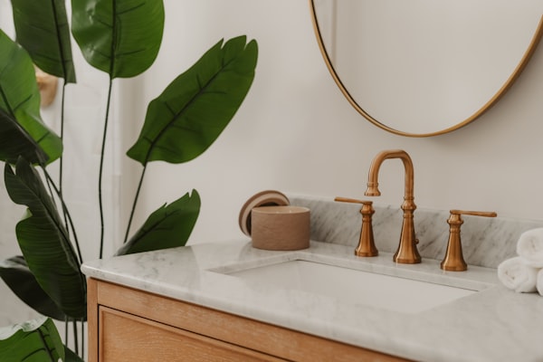 Brass faucet on marble countertop with green plant accent